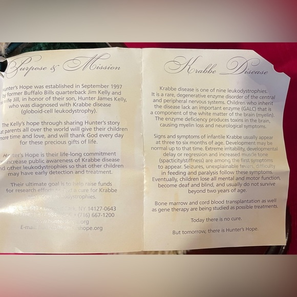 Boyd’s Bears 1985-00, Chuck Woodbeary from TJ’s Best Dressed Collection. 10” - Picture 12 of 13